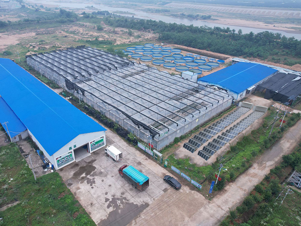 Solar Power Containers for स्वयं प्रदान गरिएको बिजुली आपूर्ति